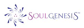 Soul Genesis trains and certifies you with the tools for helping others connect with life energy.